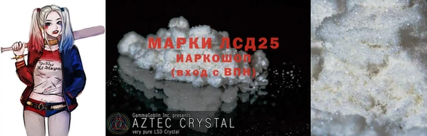 стаф Бородино