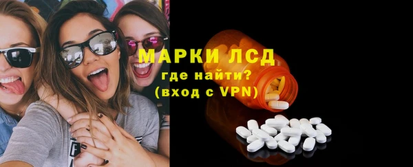 стаф Бородино