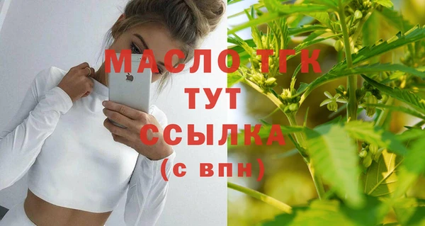 стаф Бородино