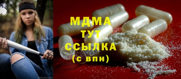 стаф Бородино